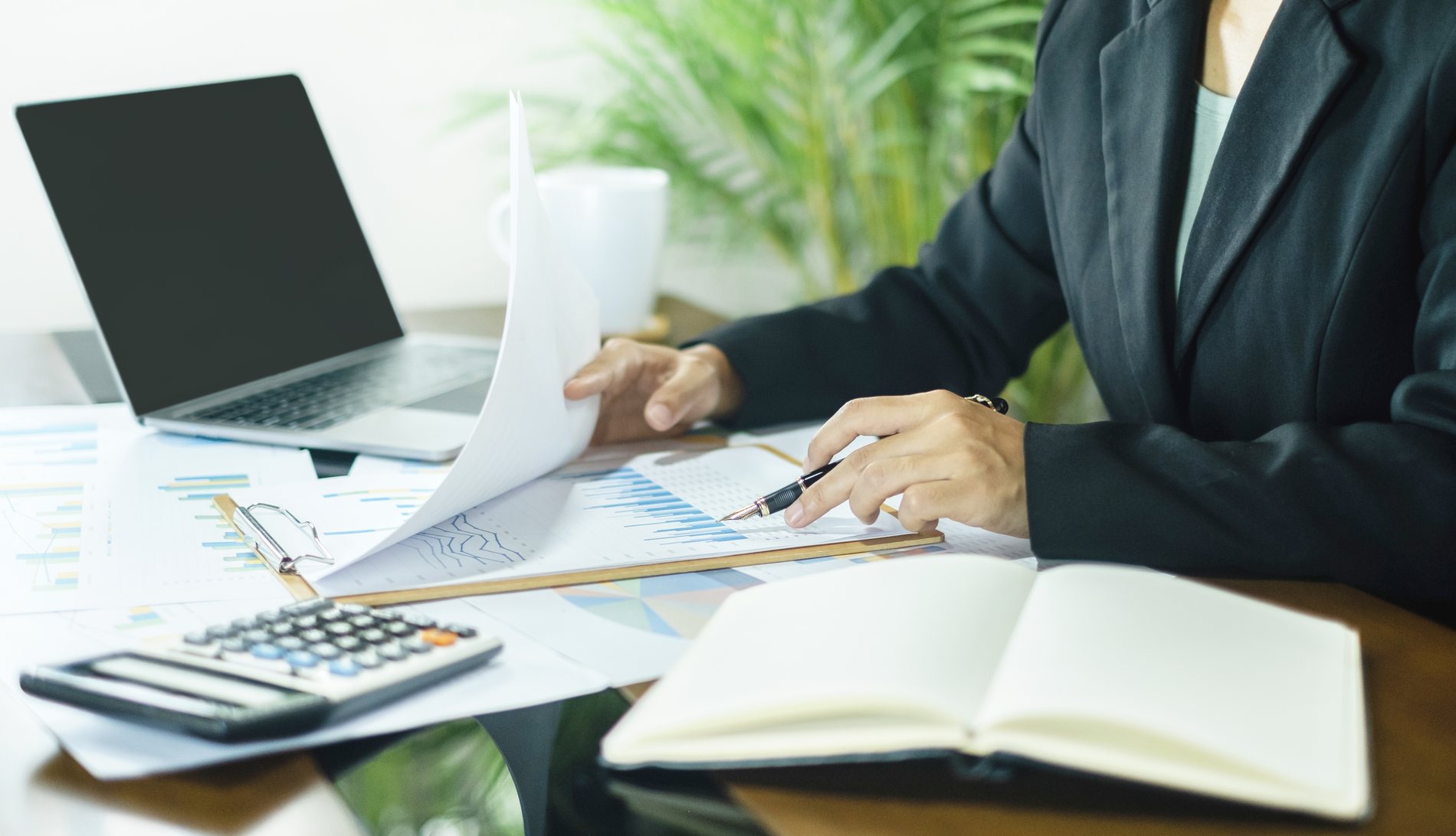 A registered tax practitioner preparing a client&rsquo;s SARS submission