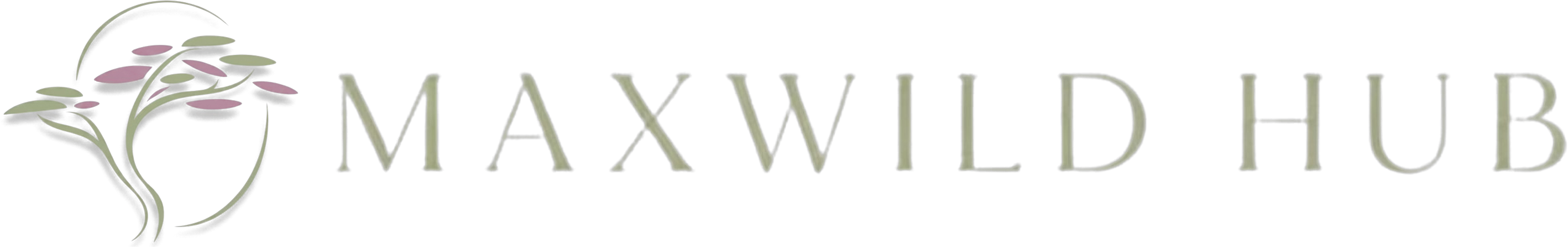 Maxwild Hub