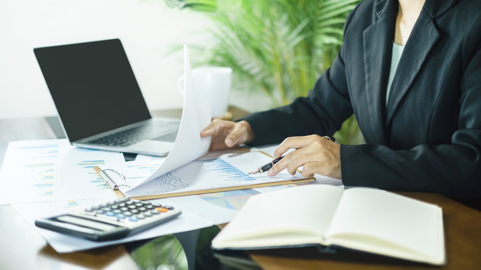 A registered tax practitioner reviewing a client&rsquo;s financial records
